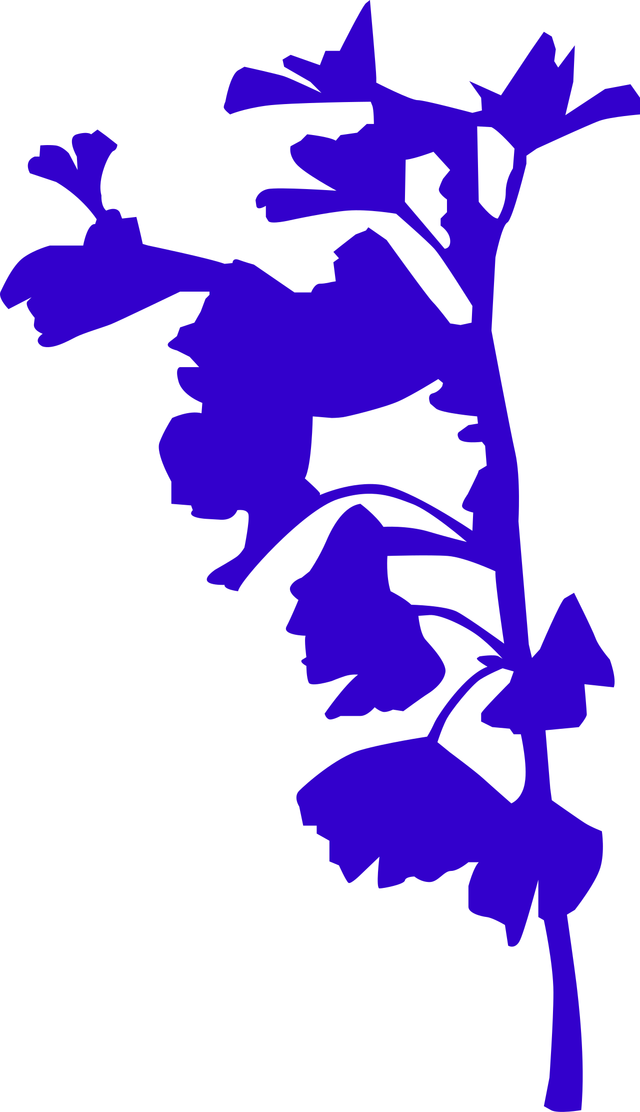 Lámina botánica de Ginkgo